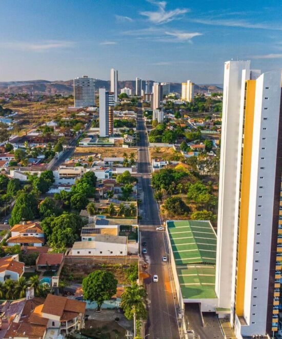 Casas de campo no meio da floresta